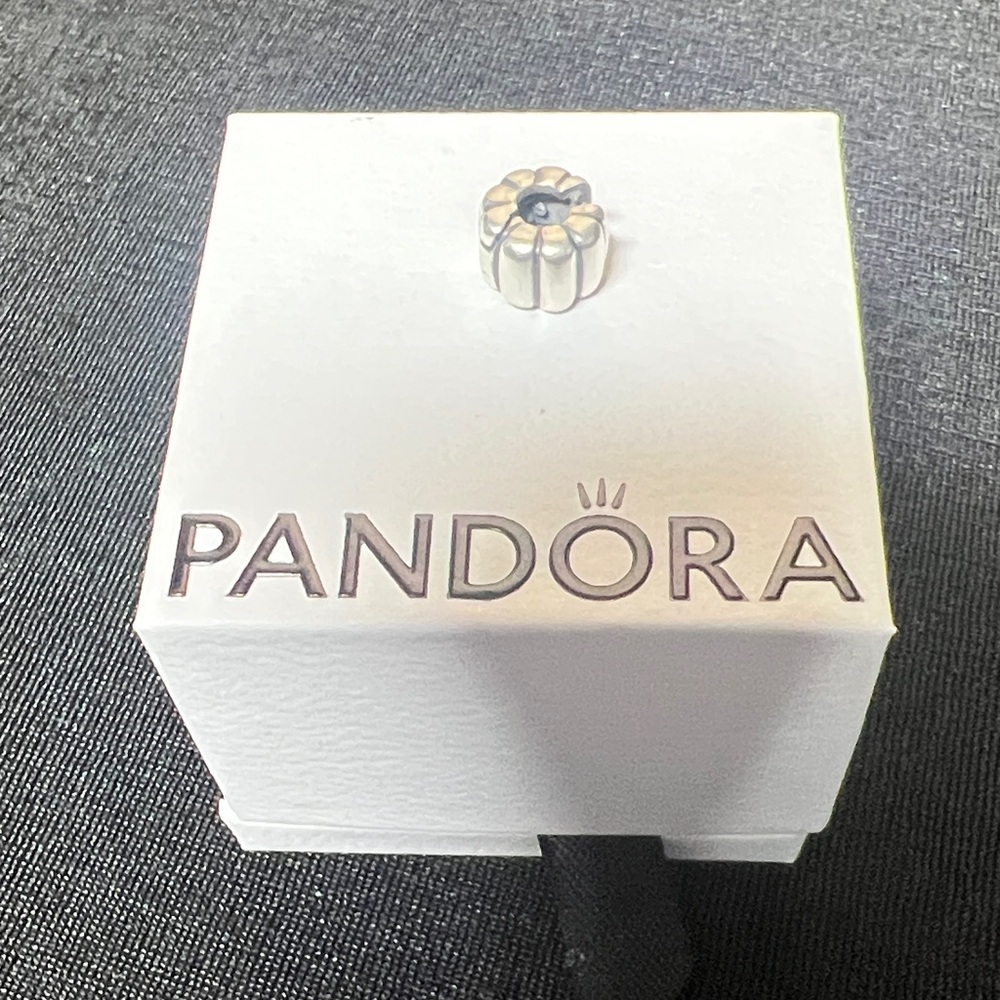 Pandora Silver Charm Clip